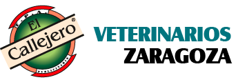 Veterinarios Zaragoza