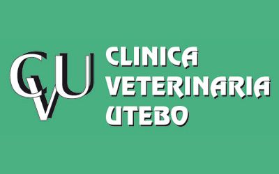 CLINICA VETERINARIA UTEBO