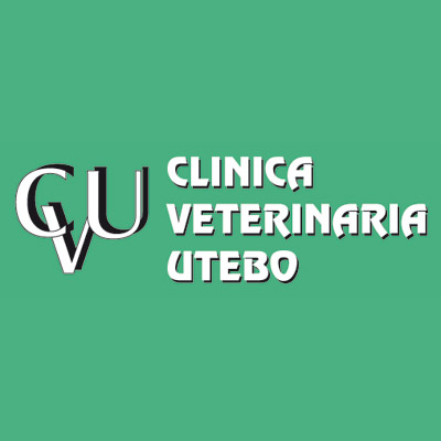 CLINICA VETERINARIA UTEBO