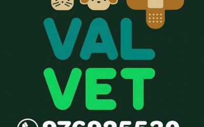 CENTRO VETERINARIO VALVET